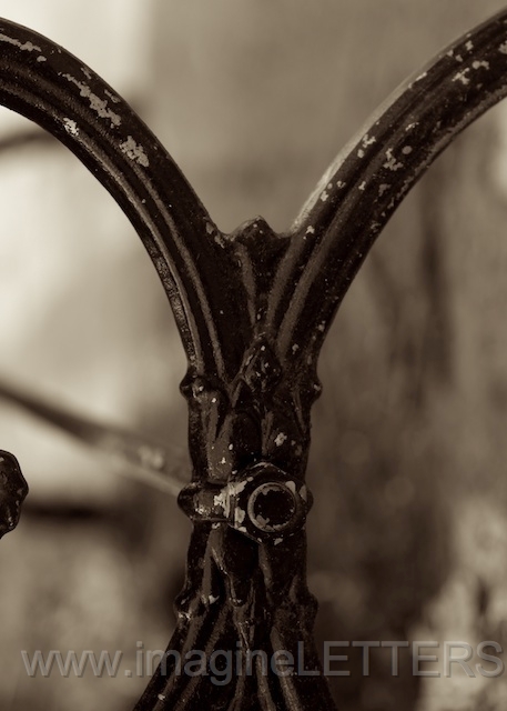 Wall_Art_Alphabet_Photography_Art_ 2542.jpg